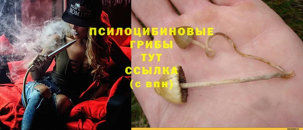 молекула духа Бронницы