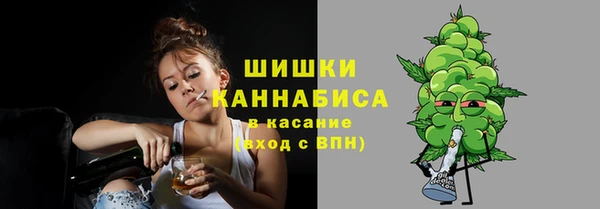 молекула духа Бронницы