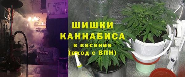 молекула духа Бронницы