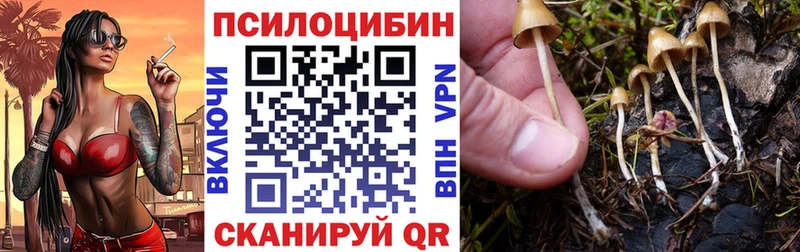 Галлюциногенные грибы MAGIC MUSHROOMS  закладка  Кореновск 